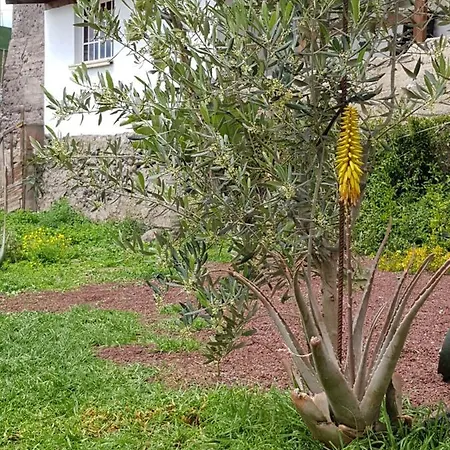 Casa Tinguaro *