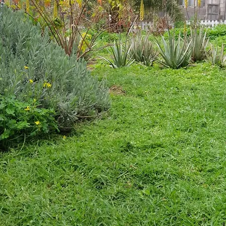 Casa Tinguaro Сasa de vacaciones *